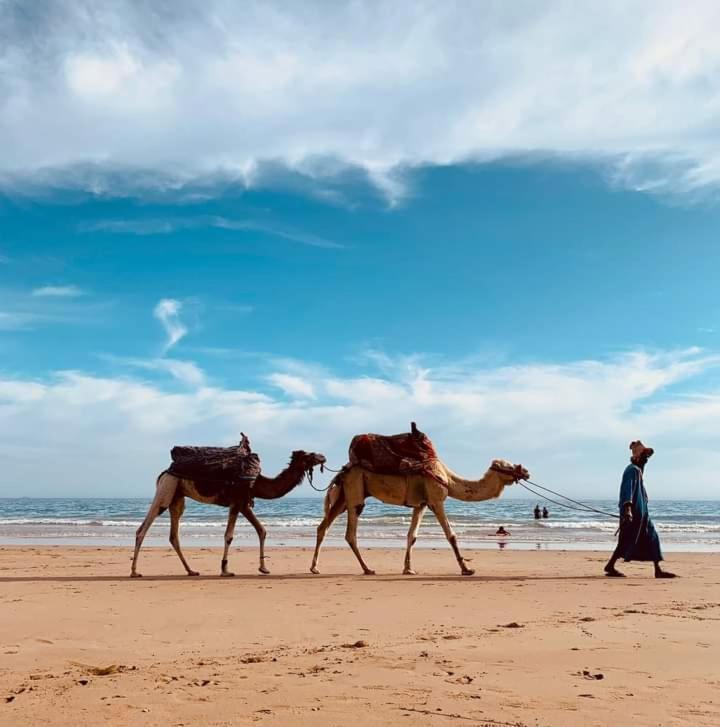 Tamraght Travel Surf Nature מראה חיצוני תמונה